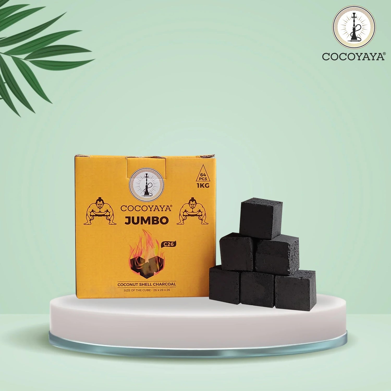 Coal holder/ tray